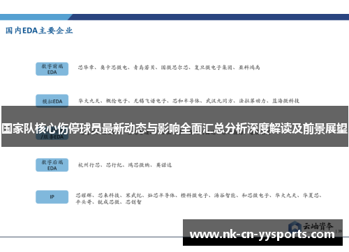 国家队核心伤停球员最新动态与影响全面汇总分析深度解读及前景展望